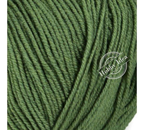 Chanté Baby Merino 1010 Зелёный
