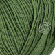 Chanté Baby Merino 1010 Зелёный