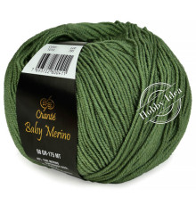 Chanté Baby Merino 1010 Зелёный