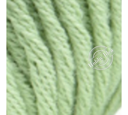 Chanté Organic Bambino Cotton 2019 Светло зелёный