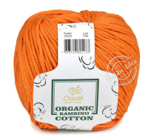 Chanté Organic Bambino Cotton 2025 Оранжевый