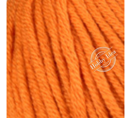 Chanté Organic Bambino Cotton 2025 Оранжевый