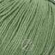 Fibra Natura Cotton Royal 18710 Пастельно-зеленёный