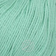 Fibra Natura Cotton Royal 18720 Мята