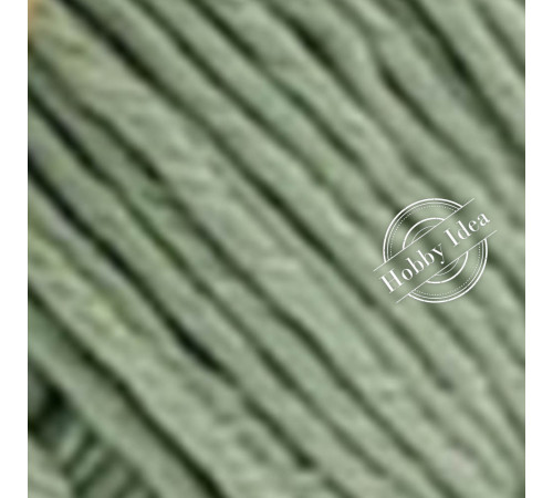 Fibra Natura CottonWood 41119 Бледная мята