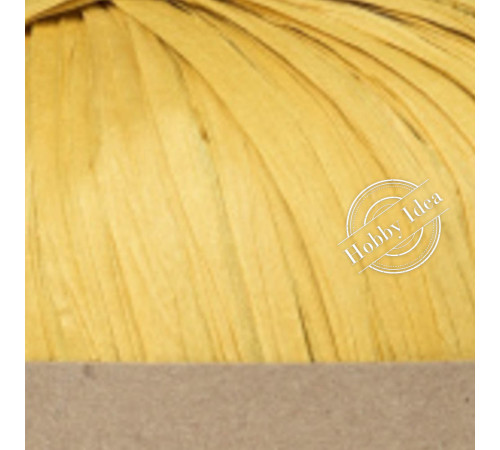 Fibra Natura Raffia Chunky 11403 Тыквенный