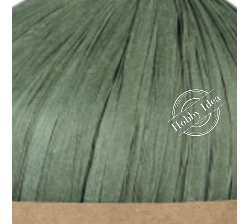 Fibra Natura Raffia Chunky 11414 Зелёный