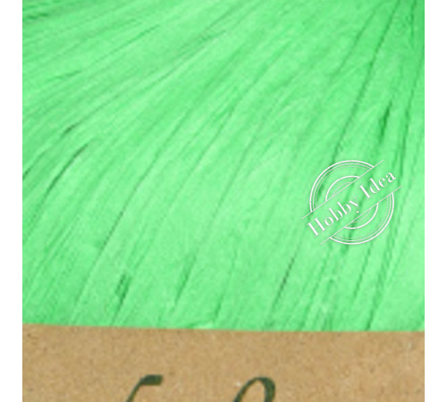 Fibra Natura Raffia Chunky 11439 Салатный