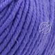 Fibra Natura Sensational 40822 Ирис из категории Fibra Natura Sensational - 1