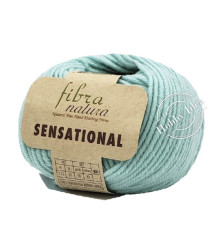 Fibra Natura Sensational 40827 Бирюзовый