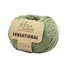 Fibra Natura Sensational 40831 Пыльный ментол