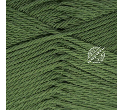 Gazzal Giza 2462 Сушеный лист