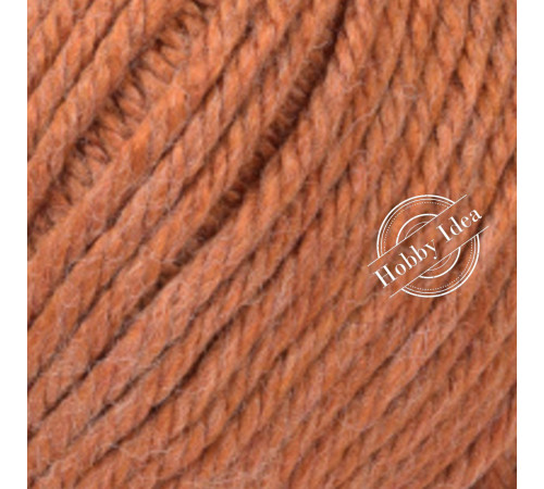 Gazzal Viking 4020 Коричневый