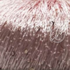 La Filati Paillettes S042 Бледно-розовый
