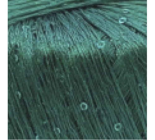 Lana Gatto Paillettes 08937