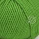 Lana Gatto Super Soft 14508 Яркий зелёный из категории Lana Gatto Super Soft - 1