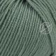 Lana Gatto Super Soft 14634 Пыльный зелёный из категории Lana Gatto Super Soft - 1