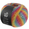 Lana Grossa Meilenweit 100 Cosy Socks Multi Stripes