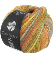 Lana Grossa Cool Merino Big Color 403 Гербарий