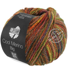 Lana Grossa Cool Merino Big Color 405 Осень