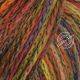 Lana Grossa Cool Merino Big Color 405 Осень из категории Lana Grossa Cool Merino Big Color - 1