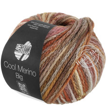 Lana Grossa Cool Merino Big Color 406 Коричневый