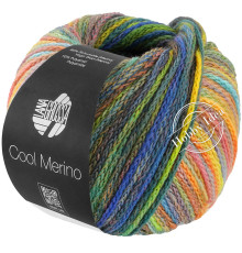 Lana Grossa Cool Merino Color 311 Зелёно-желто-синий