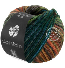 Lana Grossa Cool Merino Color 312 Зелёно-коричнево-оранжевый