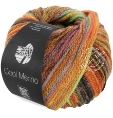 Lana Grossa Cool Merino Color 313 Коричнево-жёлто-оранжевый