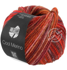 Lana Grossa Cool Merino Color 316 Красно-жёлто-коричневый