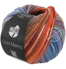 Lana Grossa Cool Merino Color 317 Красно-коричнево-синий