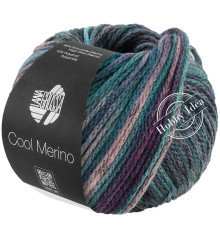 Lana Grossa Cool Merino Color 318 Фиолетово-зелёно-синий