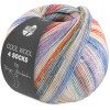 Lana Grossa Cool Wool 4 Socks Print