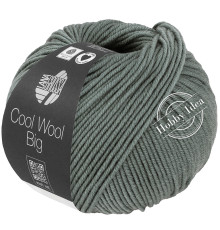 Lana Grossa Cool Wool Big 1040 Серо-зелёный