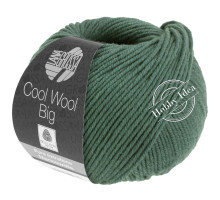 Lana Grossa Cool Wool Big 1004 Серо-зелёный