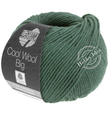 Lana Grossa Cool Wool Big 1004 Серо-зелёный