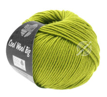 Lana Grossa Cool Wool Big 972 Молодой росток*