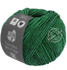 Lana Grossa Cool Wool Big Vintage 7180 Зелёный