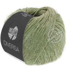 Lana Grossa Diversa 010 Серо-зелёный