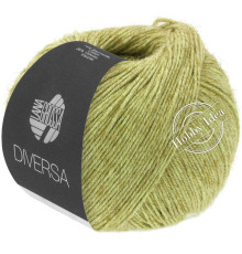 Lana Grossa Diversa 011 Жёлто-зелёный