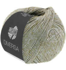 Lana Grossa Diversa 014 Серо-бежевый