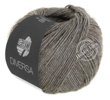 Lana Grossa Diversa 015 Тёплый серый