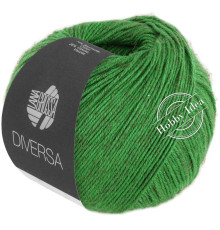 Lana Grossa Diversa 019 Травяной