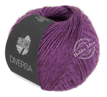 Lana Grossa Diversa 020 Сливовый