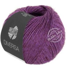 Lana Grossa Diversa 020 Сливовый