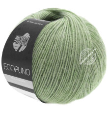 Lana Grossa Ecopuno 020 Светло-зелёный