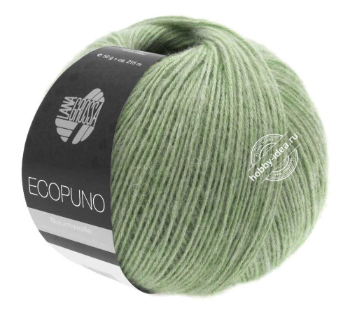 Lana Grossa Ecopuno 020 Светло-зелёный
