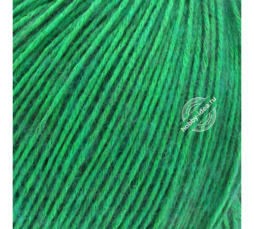 Lana Grossa Ecopuno 041 Зелёный