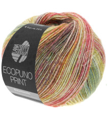 Lana Grossa Ecopuno Print 204