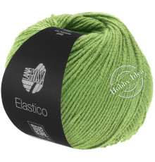 Lana Grossa Elastico 167 Киви